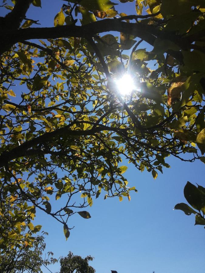 ホテル La Stella Delle Alpi Vico Canavese エクステリア 写真