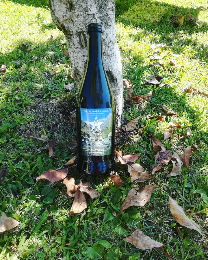 ホテル La Stella Delle Alpi Vico Canavese エクステリア 写真