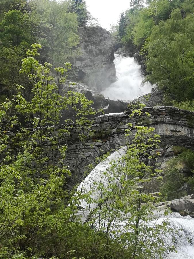 ホテル La Stella Delle Alpi Vico Canavese エクステリア 写真