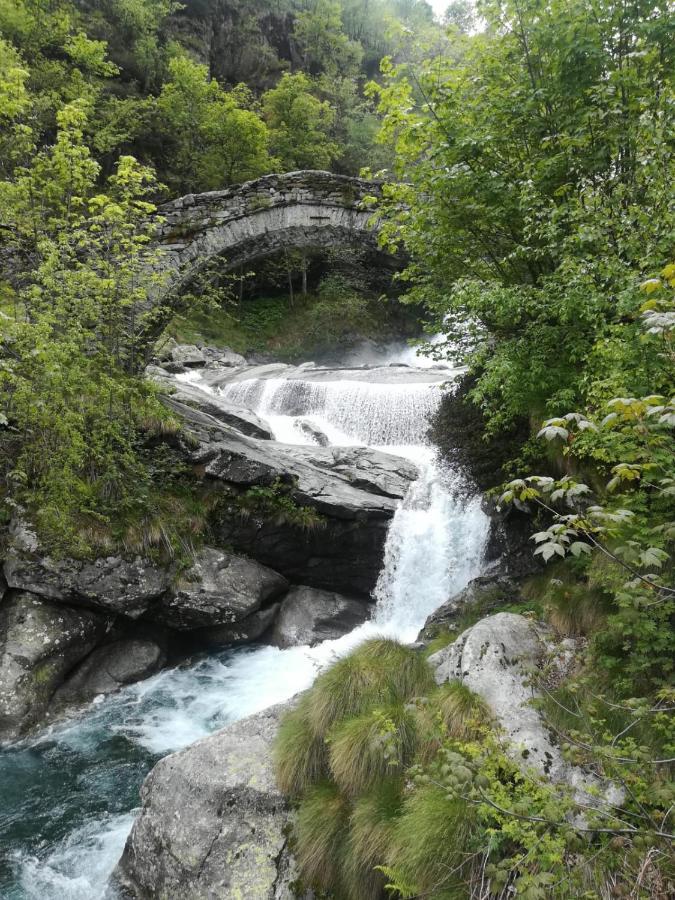 ホテル La Stella Delle Alpi Vico Canavese エクステリア 写真