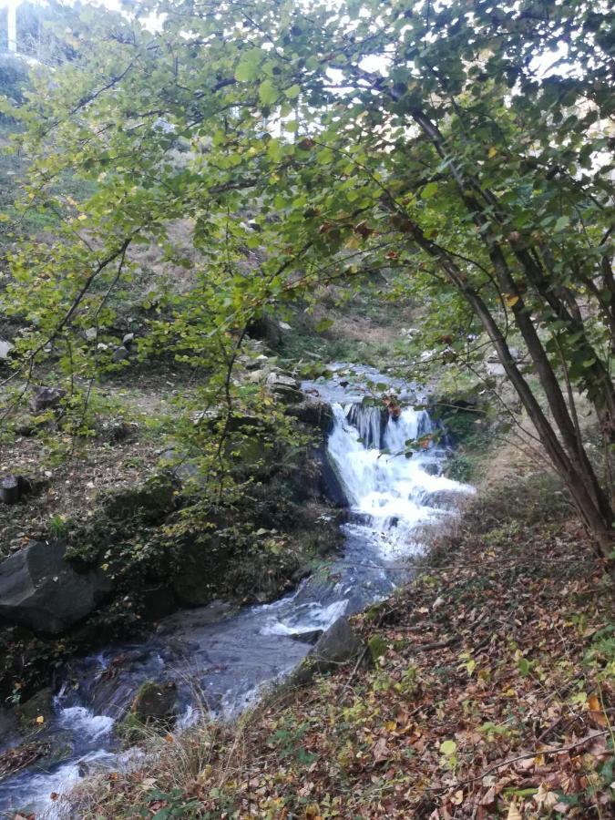 ホテル La Stella Delle Alpi Vico Canavese エクステリア 写真
